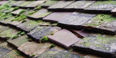 Gorslas roof repair costs